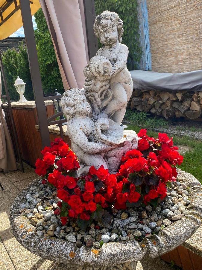 Penzion Vila Petra Bed&Breakfast Velky Slavkov Exterior photo