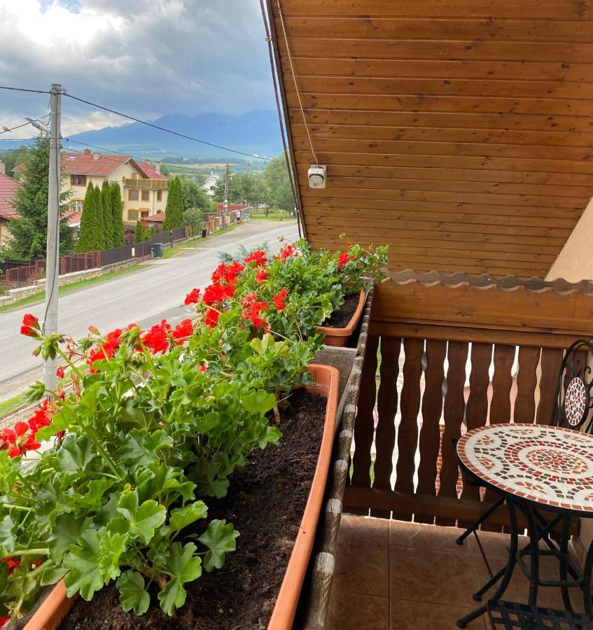 Penzion Vila Petra Bed&Breakfast Velky Slavkov Exterior photo